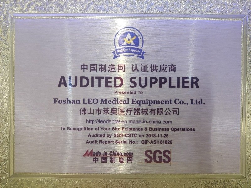Audited Supplier by Made-in-China